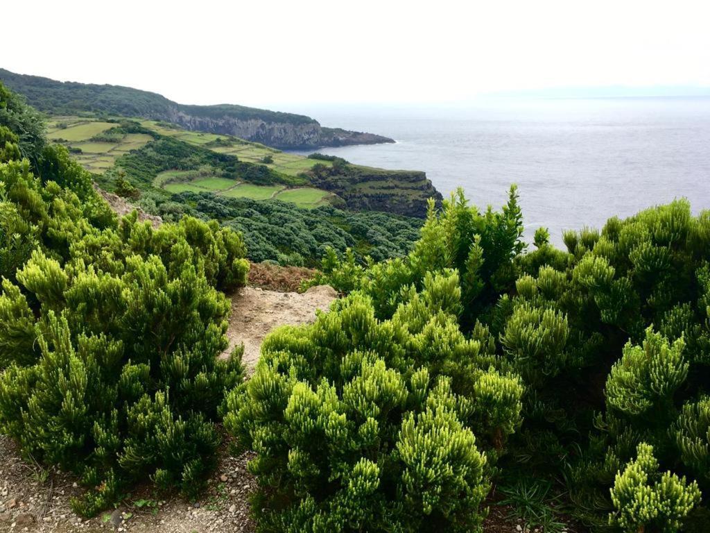Casa As Nove Βίλα Angra do Heroísmo Εξωτερικό φωτογραφία