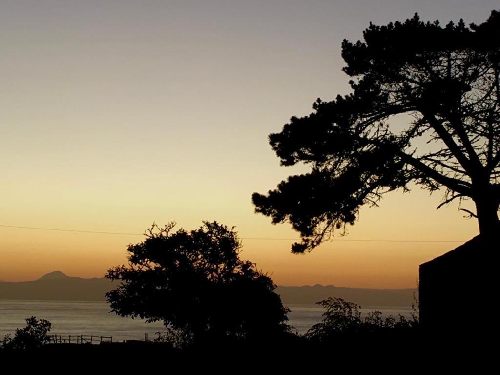 Casa As Nove Βίλα Angra do Heroísmo Εξωτερικό φωτογραφία